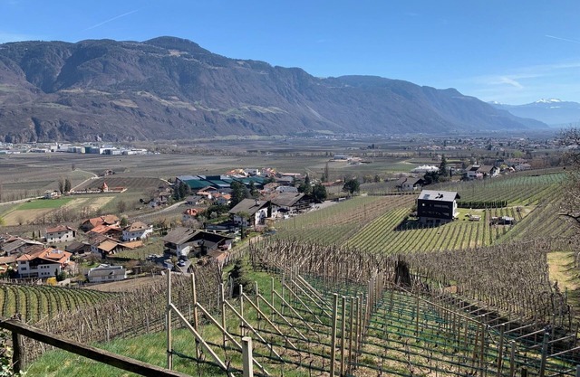 Weingut Bachgütl - Vacation on a beautiful piece of earth