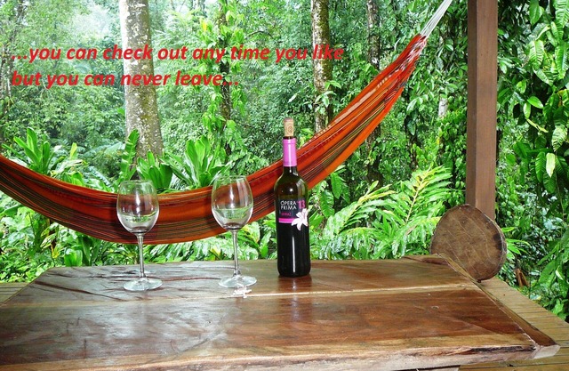 Welcome to the jungle! stylish jungle view apartments for nature lovers