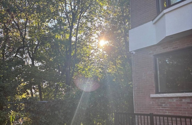 Welcoming Retreat for Guests, Students & Professionals – Where City Meets Nature