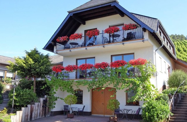 Well-kept vacation home in the middle of the vineyards. Apartment 1, short vacation on request