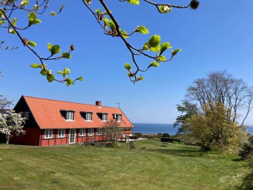 Wildernest Bornholm - Fasanen
