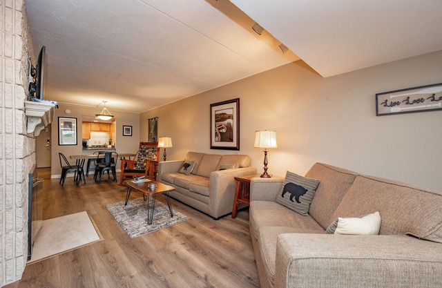 Will O' The Wisp 104B: Lakefront One Bedroom Condo with 2 Fireplaces & Flat Scre