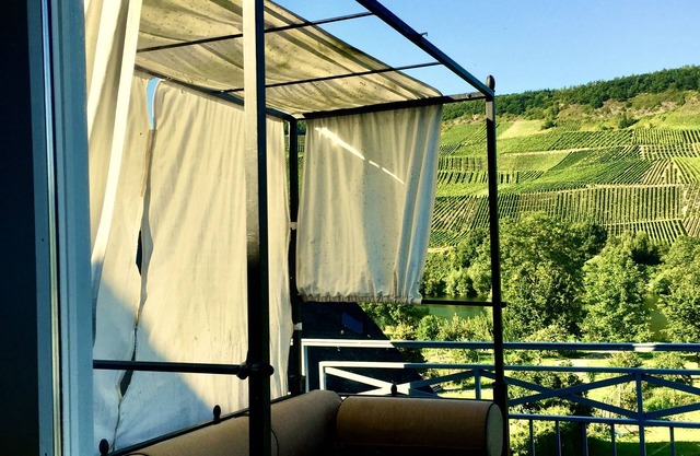 Willkommen Direkt am Moselufer Inkl. Blick auf Weinberge