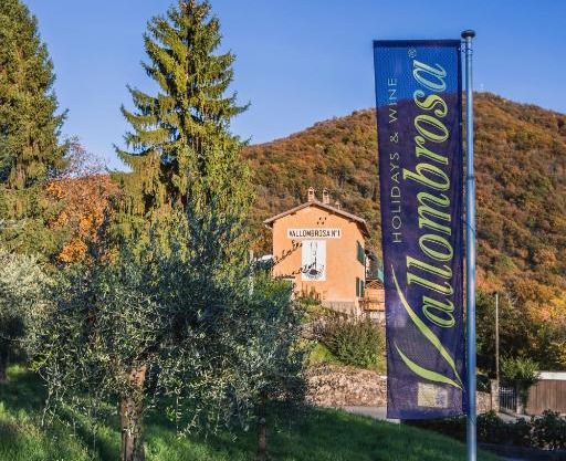 Wine & Art Relais Vallombrosa