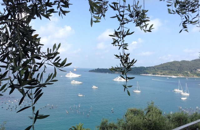 Woh! " What a Gorgeous View"