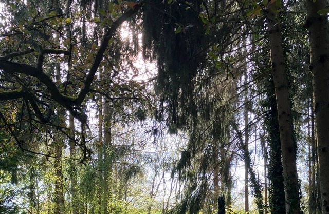 Wohliger Urlaub mit der Ganzen Familie in der Eifel mit Sauna