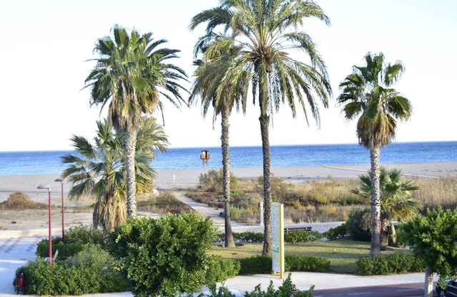 Wonderful beach apartment-botanical garden