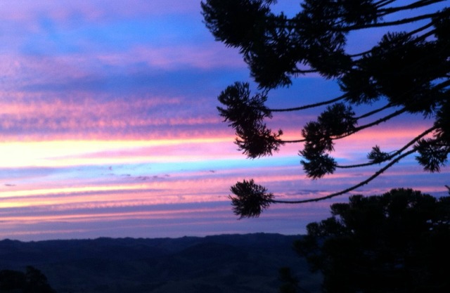 Wonderful night, starry sky, Fresh Air, Nature Incredible 120 km from SP