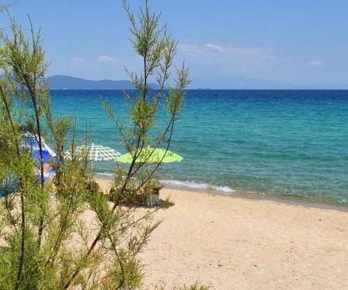 Xenia Resort