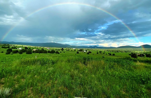 Young AZ Home Away From Home