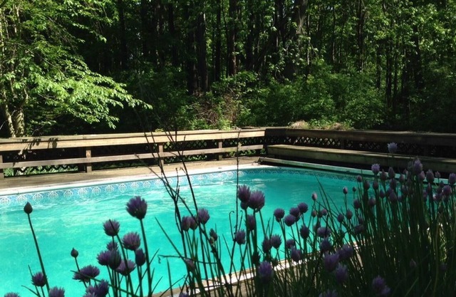 Your Pool Party is Calling