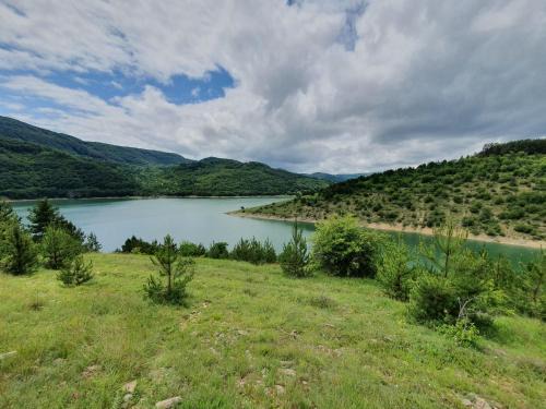 Zavojsko jezero Pirot - smestaj Manic