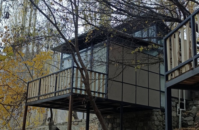 Zihin with Forest view - Cloud Nine And a Half