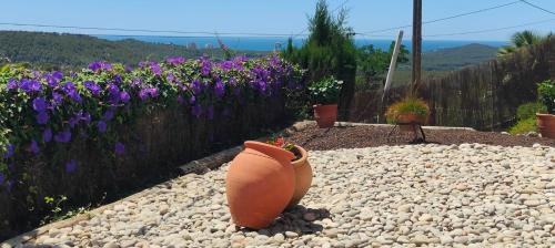 Sant Pere de Ribes Apartment | Ànima del Garraf