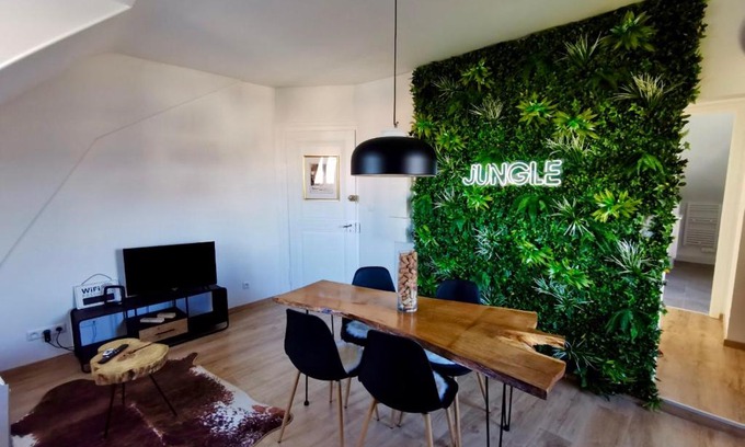 Mulhouse Apartment | ÉVASION JUNGLE - Wifi & Netflix !