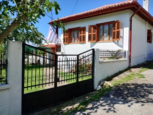 Xanthi House | Τα πλατάνια