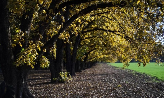 Beit Hillel Cabin | חווה של דני
