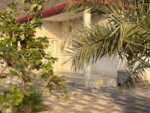 Ras Al Khaimah House | استراحة الأنغام