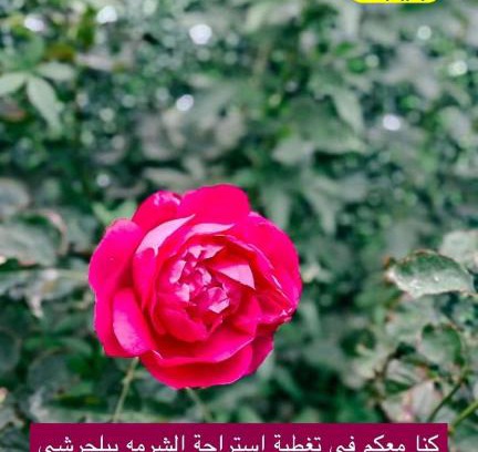 Baljurashi Ski Chalet | استراحة الشرمه ببلجرشي