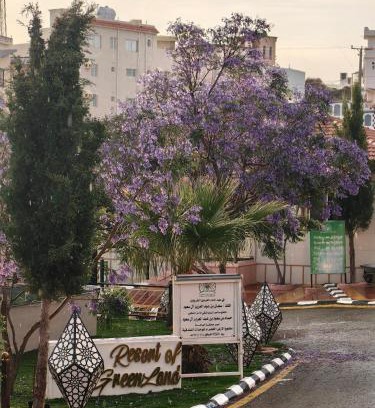 Al Bahah Apartment | شاليهات الارض الخضراء لبيوت العطلات