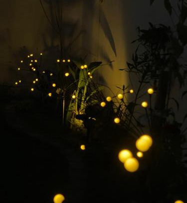 Taif Ski Chalet | شاليه ارجان الطائف