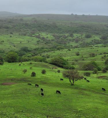 Dhofar Governorate Villa | فيلا رابية جرثنوت