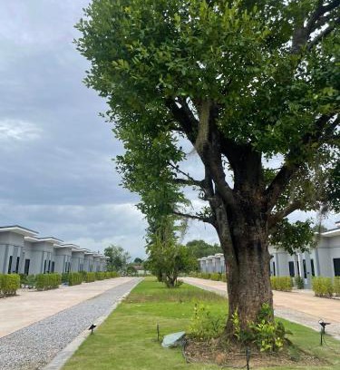 Klaeng Resort | กลางนา รีสอร์ท