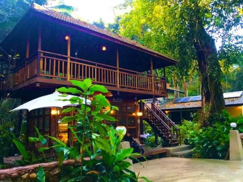 Mae On Bed & Breakfast | บ้านต้นไม้ริมน้ำ