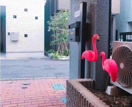 Toshima House | 池袋10人4室2卫洋房整套出租新宿原宿渋谷直达成田羽田迪士尼乐园巴士直通