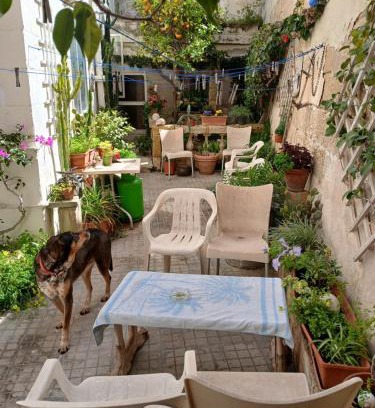 Msida House | 1, 2 or 3 Bed Rooms - Malta Central Location, Very near Sea and Tourism hub