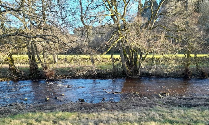 Selkirk Cottage | 1 bedroom accommodation in Ashkirk, near Selkirk