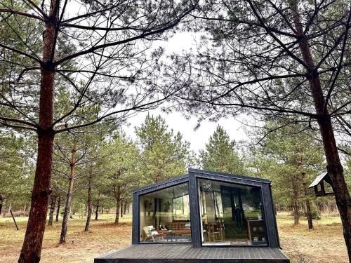 Dzwierzuty Apartment | 100 Drzew - Leśny Klimat Mazur