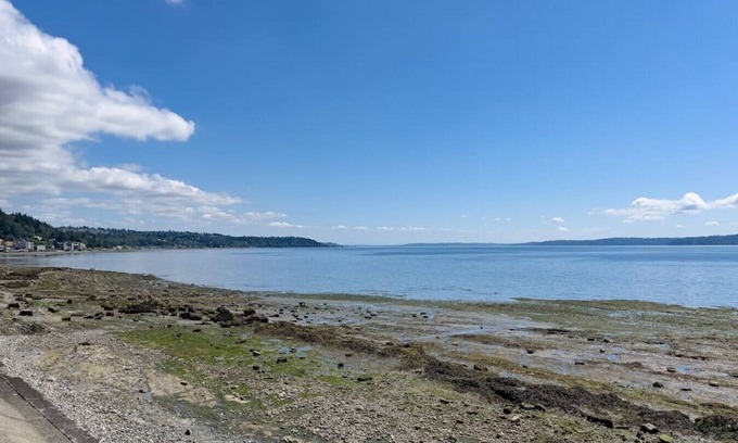 Seaview Apartment | 113 - Cottage Gem ~ Min to Waterfront
