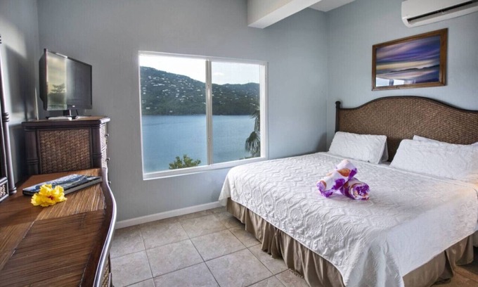 Estate Peterborg Cottage | 1BR suite with amazing views and only 5 min from Magen's Bay!