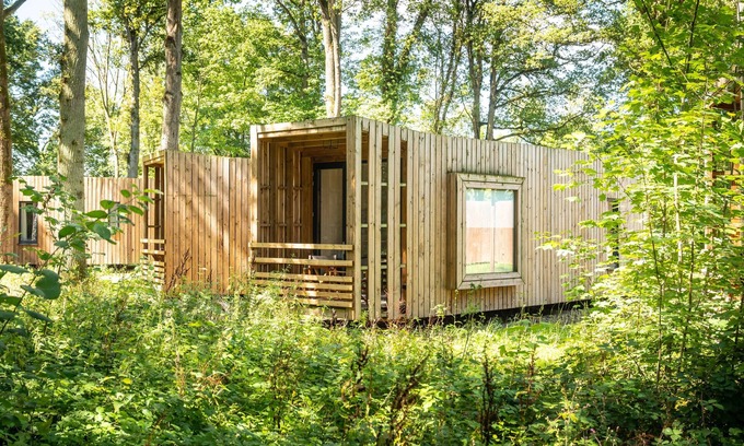 Antoing Cabin | 2-4 person The Treeloft in the holiday park Landal Forest Resort Your Nature