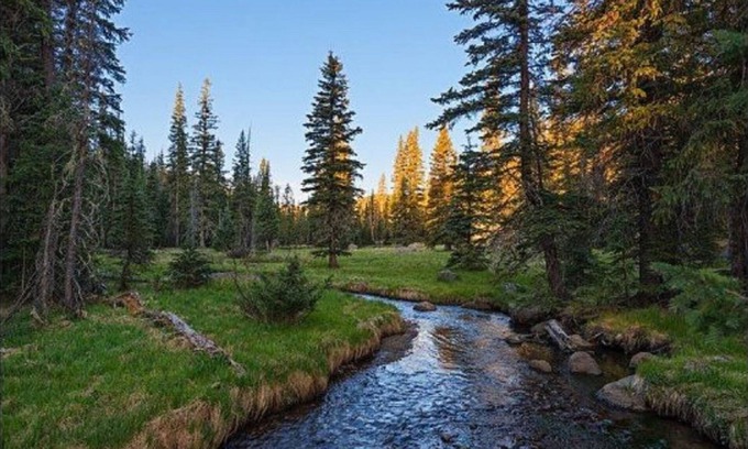 Pinetop Cabin | 2 BDRM CABIN~ (LOWERED RATES) PERFECT LOCATION~ INDOOR POOL & HOT TUB~ SLEEPS 6~