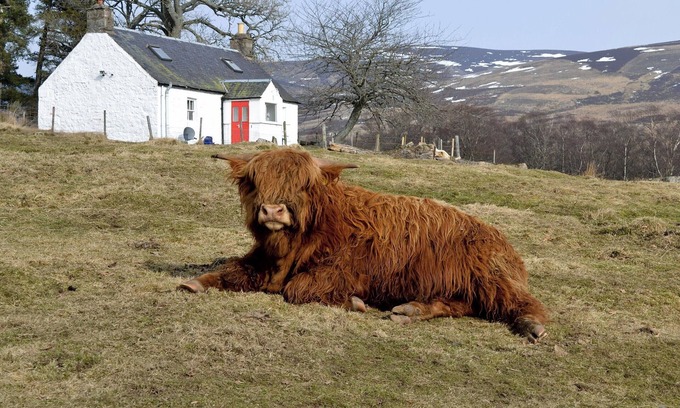 Kirriemuir Cottage | 2 bedroom accommodation in Glenprosen, by Kirriemuir