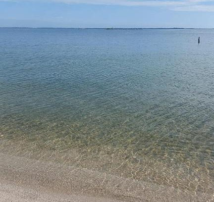 Cidade Nova House | 2 Quadras da lagoa Ótima Oportunidade!