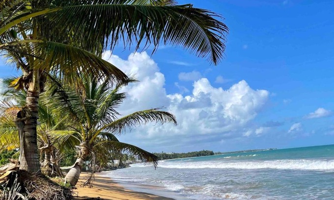 Playa Fortuna Apartment | 2 Units, 1 Price Group Bundle Sleeps 8 Beach House