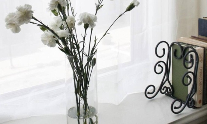 Downtown House | 23 Steps Inn