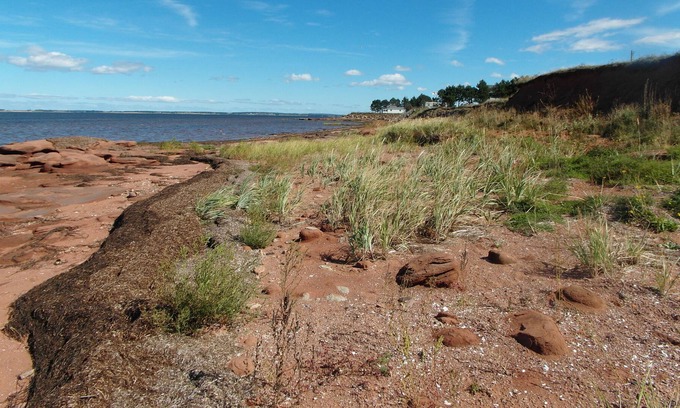 Sherbrooke House | 2Bedroom Cottage With Stunning Views Of Malpeque Bay & Beach Access