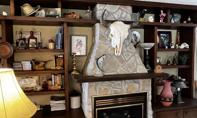 Leadville North Cabin | 3 Bed 2 Bath cabin nestled in the pines between Leadville and Turquoise Lake.