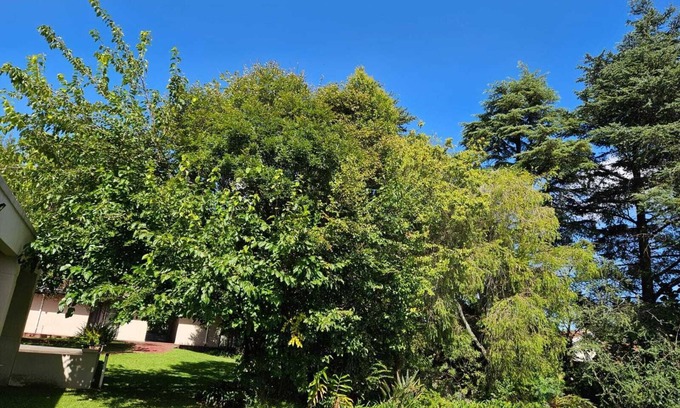 Greater Johannesburg Metropolitan Area Apartment | 3-bedroom apartment in peaceful Sandton with WiFi, AC
