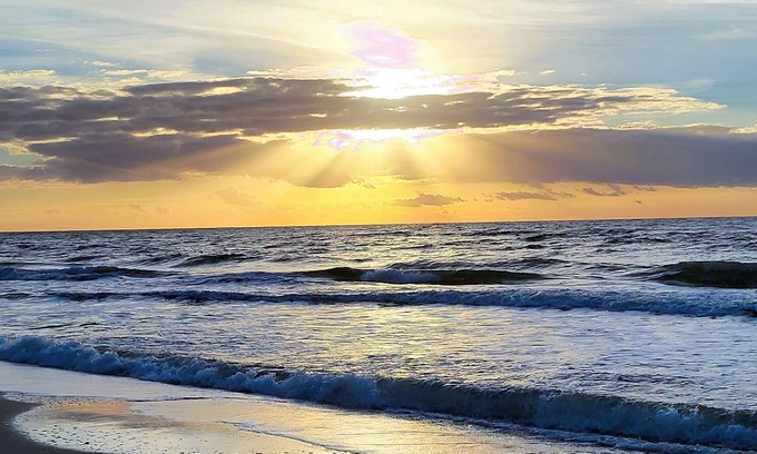 Gulf Shores Condo | 3 miles to the beach. Shopping & golf next door. Close to many things, yet quiet
