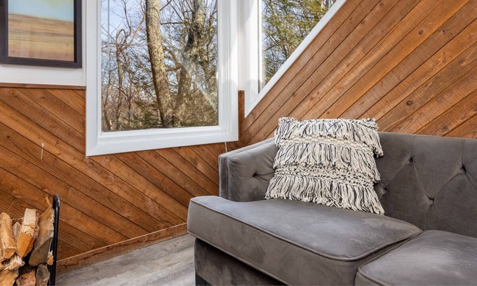 Nellysford Condo | 3 Min to SKI Lift and SPA, Wintergreen Resort, Pets Welcome, Hiking, Restaurants