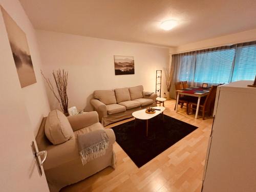 Wynau Apartment | 3-Room Apartment for Business Travelers or Familie, Free WiFi & TV with 100 Countries, DAZN, Sky, Netflix & Disney