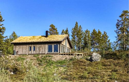 Vinje House | 4 Bedroom Nice Home In Vinje