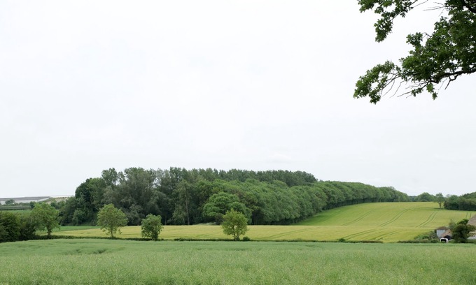 Frampton Hotel | 4 Sisters Inn