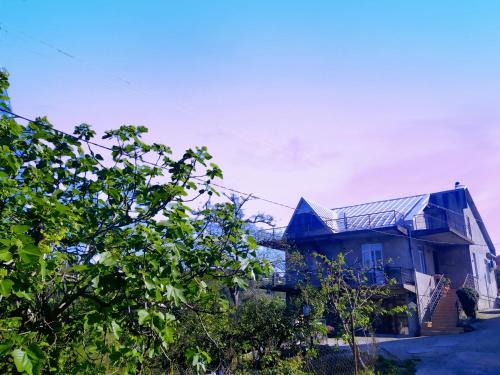 Khelvachauri House | 53 jincharadze street Makhinjauri, Batumi