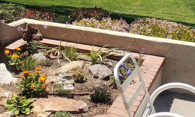 Sun Lakes Condo | 55+ Living, Course frontage! Stroll to Clubhouse/Pools/Restaurant and CHEAP GOLF